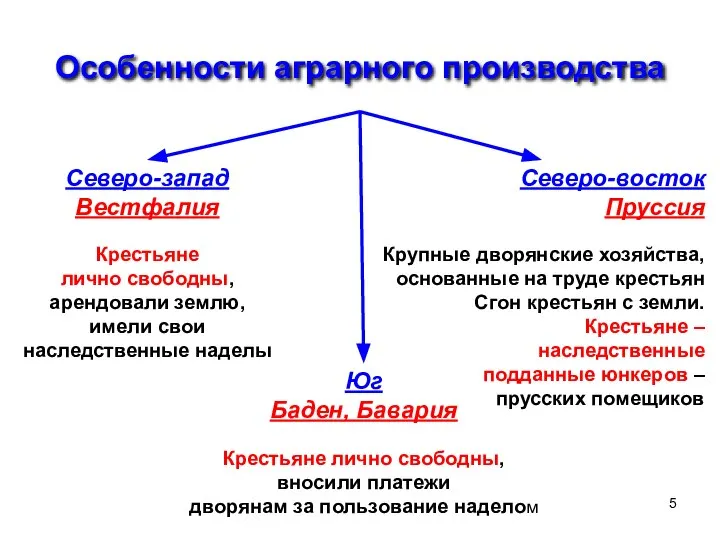 Особенности аграрного производства Северо-запад Вестфалия Крестьяне лично свободны, арендовали землю, имели свои