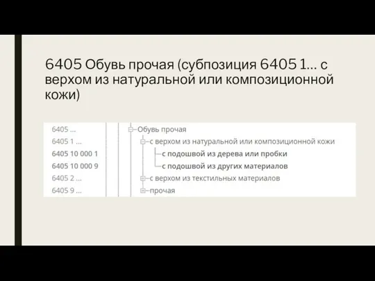 6405 Обувь прочая (субпозиция 6405 1… с верхом из натуральной или композиционной кожи)