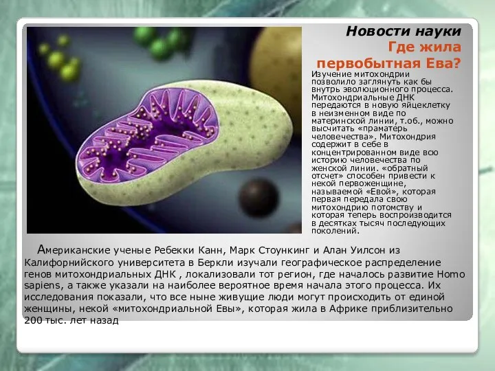 Новости науки Где жила первобытная Ева? Изучение митохондрии позволило заглянуть как бы