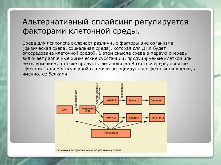 Альтернативный сплайсинг регулируется факторами клеточной среды. Среда для психолога включает различные факторы