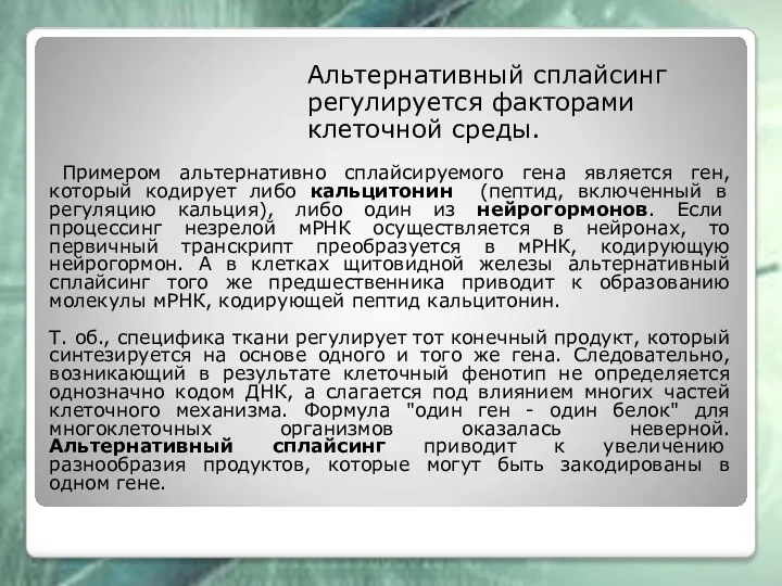 Альтернативный сплайсинг регулируется факторами клеточной среды. Примером альтернативно сплайсируемого гена является ген,