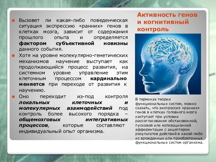 Активность генов и когнитивный контроль Вызовет ли какая-либо поведенческая ситуация экспрессию «ранних»