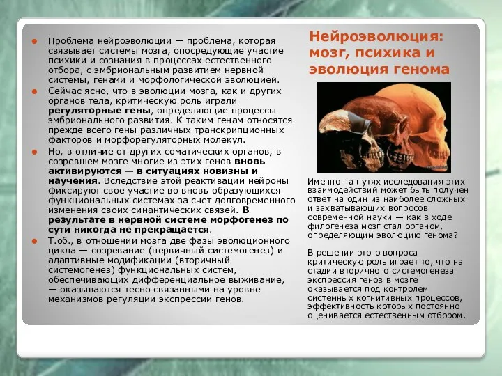 Нейроэволюция: мозг, психика и эволюция генома Именно на путях исследования этих взаимодействий