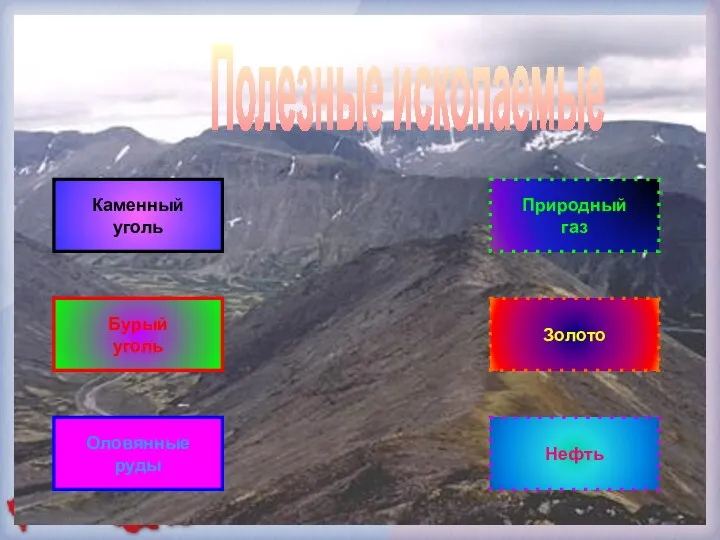 Полезные ископаемые Нефть Оловянные руды Бурый уголь Каменный уголь Золото Природный газ