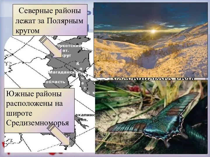 Почти на 4500 км, от Чукотки до уссурийского края, протянулся район вдоль