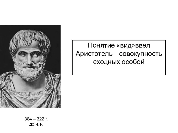 Понятие «вид»ввел Аристотель – совокупность сходных особей 384 – 322 г. до н.э.