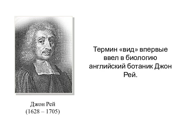 Термин «вид» впервые ввел в биологию английский ботаник Джон Рей. Джон Рей (1628 – 1705)