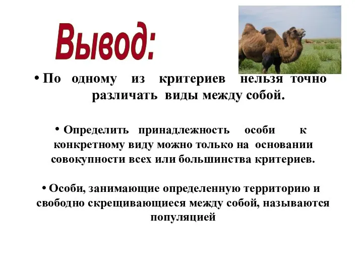 По одному из критериев нельзя точно различать виды между собой. Определить принадлежность