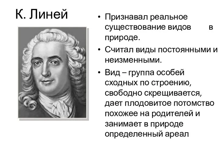 К. Линей Признавал реальное существование видов в природе. Считал виды постоянными и