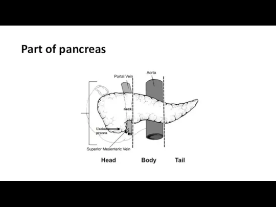 Part of pancreas