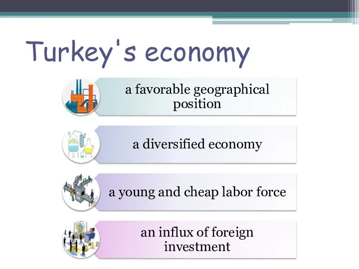 Turkey's economy