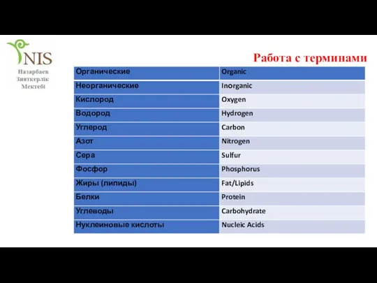 Работа с терминами