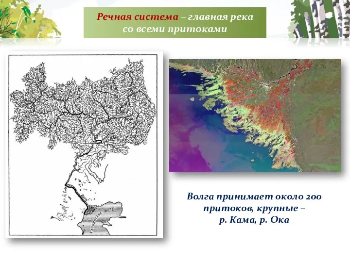 Речная система – главная река со всеми притоками Волга принимает около 200