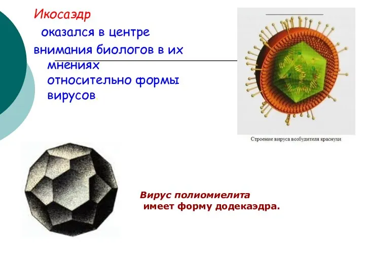 Икосаэдр оказался в центре внимания биологов в их мнениях относительно формы вирусов.