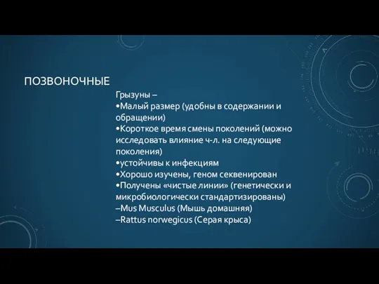 ПОЗВОНОЧНЫЕ Грызуны – •Малый размер (удобны в содержании и обращении) •Короткое время