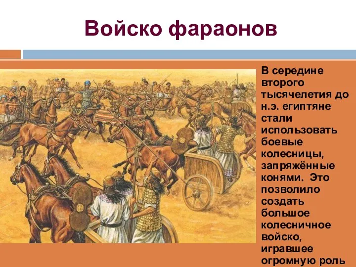 Войско фараонов В середине второго тысячелетия до н.э. египтяне стали использовать боевые