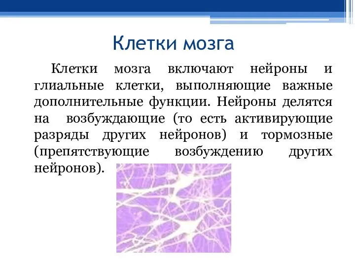 Клетки мозга Клетки мозга включают нейроны и глиальные клетки, выполняющие важные дополнительные