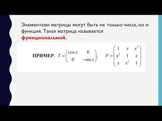 Элементами матрицы могут быть не только числа, но и функция. Такая матрица называется функциональной.