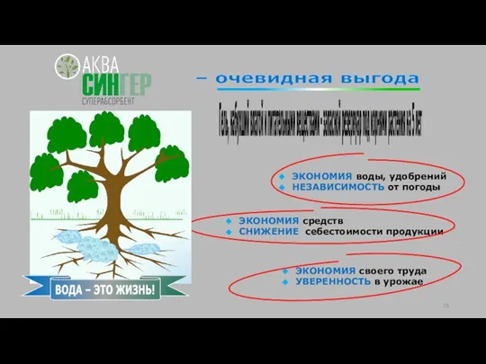 Гель, набухший влагой и питательными веществами - запасной резервуар под корнями растения