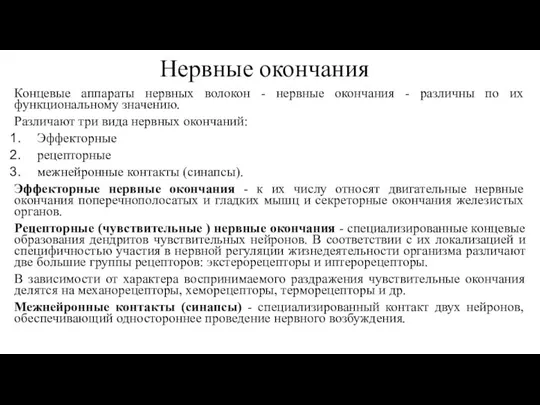 Нервные окончания Концевые аппараты нервных волокон - нервные окончания - различны по