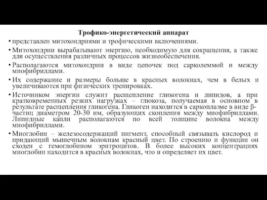 Трофико-энергетический аппарат представлен митохондриями и трофическими включениями. Митохондрии вырабатывают энергию, необходимую для