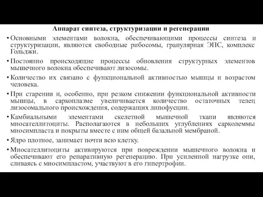 Аппарат синтеза, структуризации и регенерации Основными элементами волокна, обеспечивающими процессы синтеза и