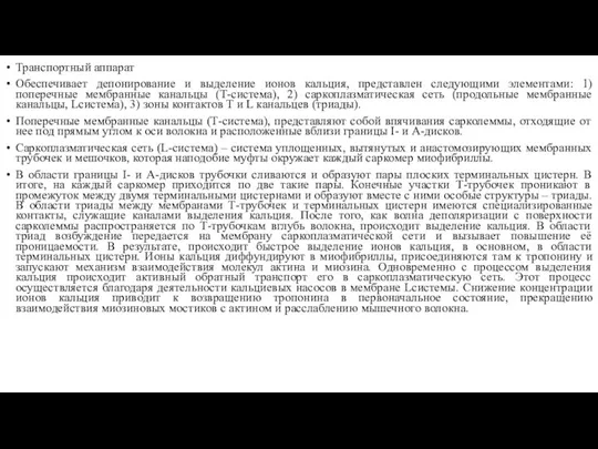 Транспортный аппарат Обеспечивает депонирование и выделение ионов кальция, представлен следующими элементами: 1)