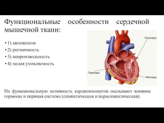 Функциональные особенности сердечной мышечной ткани: 1) автоматизм 2) ритмичность 3) непроизвольность 4)