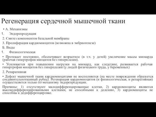 Регенерация сердечной мышечной ткани А. Механизмы Эндорепродукция 2. Синтез компонентов базальной мембраны