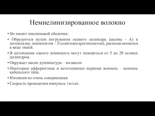 Немиелинизированное волокно Не имеют миелиновой оболочки. Образуются путем погружения осевого цилиндра (аксона