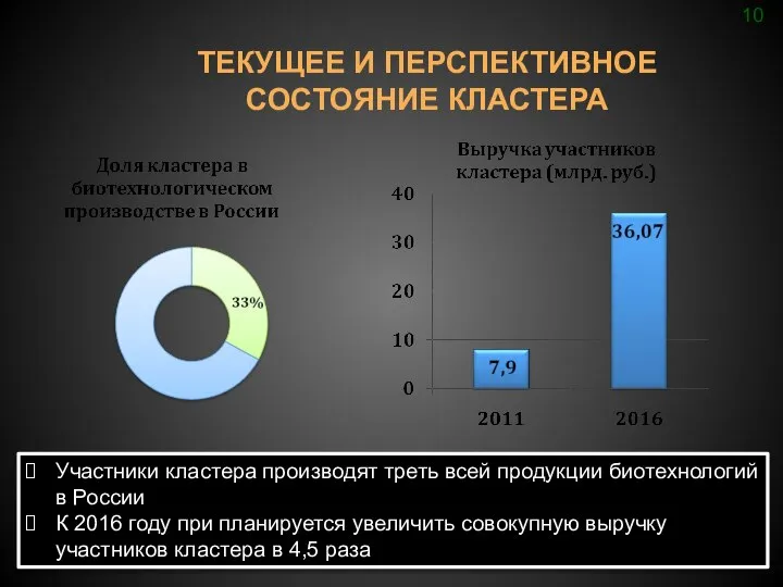 ТЕКУЩЕЕ И ПЕРСПЕКТИВНОЕ СОСТОЯНИЕ КЛАСТЕРА 10 Участники кластера производят треть всей продукции