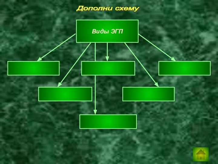 Дополни схему Виды ЭГП