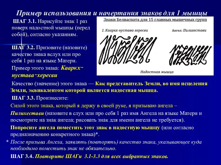 Пример использования и начертания знаков для 1 мышцы Качество (значение) этого знака