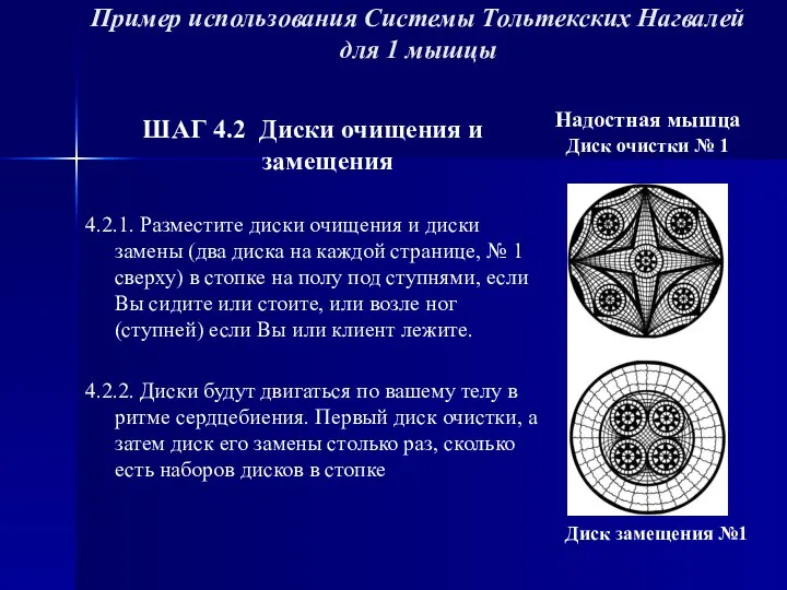 Пример использования Системы Тольтекских Нагвалей для 1 мышцы ШАГ 4.2 Диски очищения