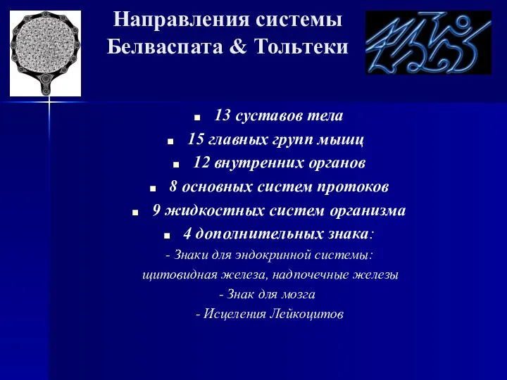 Направления системы Белваспата & Тольтеки 13 суставов тела 15 главных групп мышц