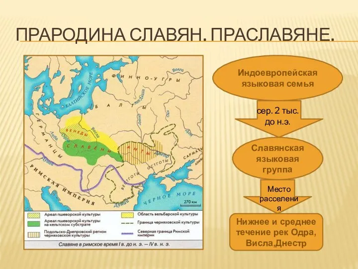 ПРАРОДИНА СЛАВЯН. ПРАСЛАВЯНЕ. Индоевропейская языковая семья сер. 2 тыс. до н.э. Славянская