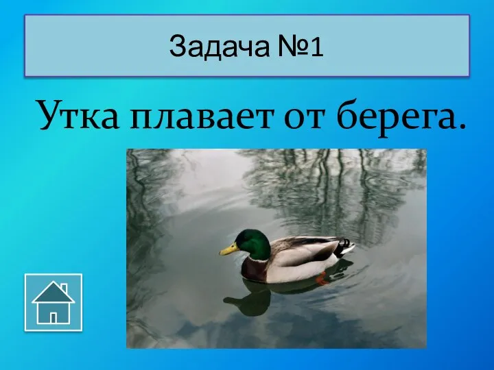 Утка плавает от берега. Задача №1