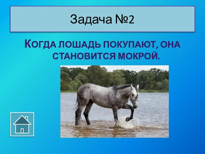 КОГДА ЛОШАДЬ ПОКУПАЮТ, ОНА СТАНОВИТСЯ МОКРОЙ. Задача №2