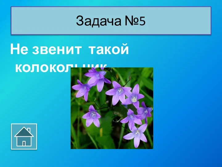 Не звенит такой колокольчик. Задача №5