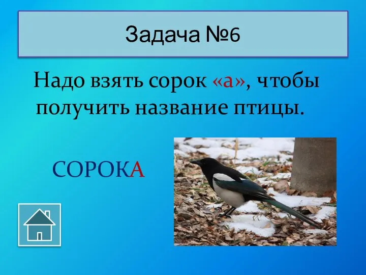 Надо взять сорок «а», чтобы получить название птицы. СОРОКА Задача №6