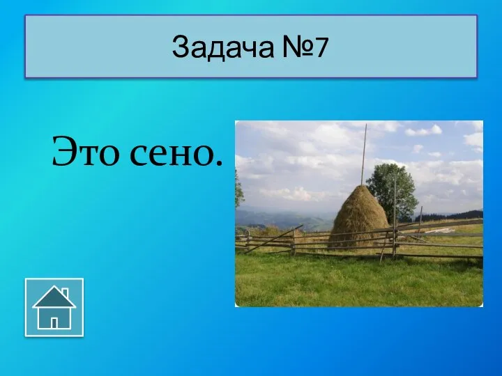 Это сено. Задача №7