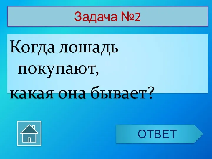 Задача №2 Когда лошадь покупают, какая она бывает? ОТВЕТ