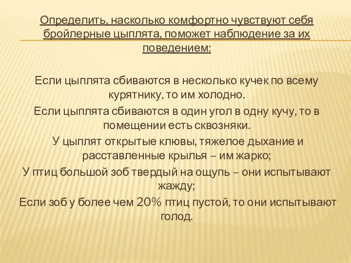 Определить, насколько комфортно чувствуют себя бройлерные цыплята, поможет наблюдение за их поведением: