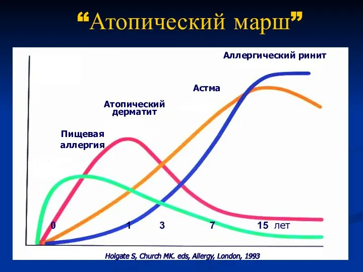 Аллергический ринит Астма Атопический дерматит Пищевая аллергия Holgate S, Church MK. eds,