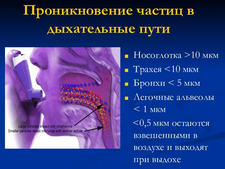 Проникновение частиц в дыхательные пути Носоглотка >10 мкм Трахея Бронхи Легочные альвеолы