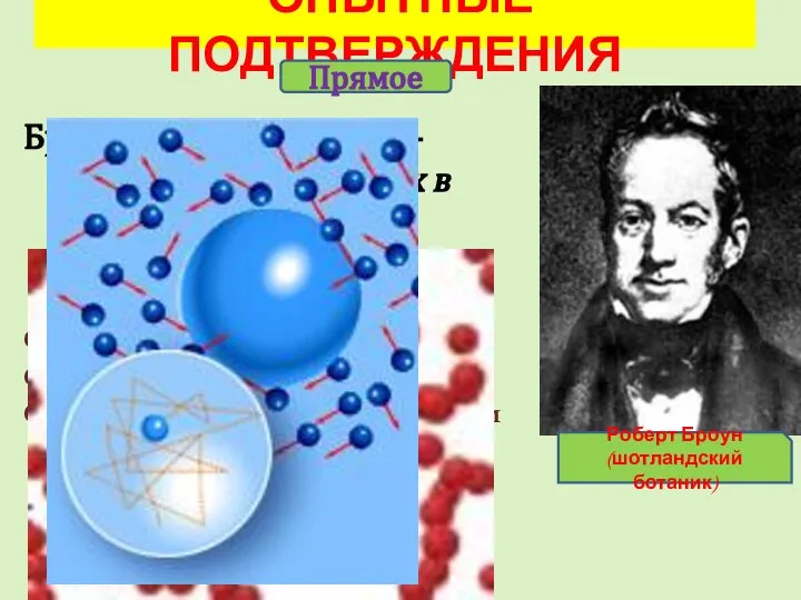 Броуновское движение – движение взвешенных в жидкости частиц Открыто в 1827г. Броуном.