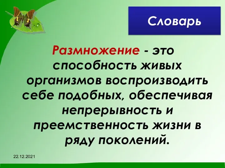 Словарь Размножение - это способность живых организмов воспроизводить себе подобных, обеспечивая непрерывность