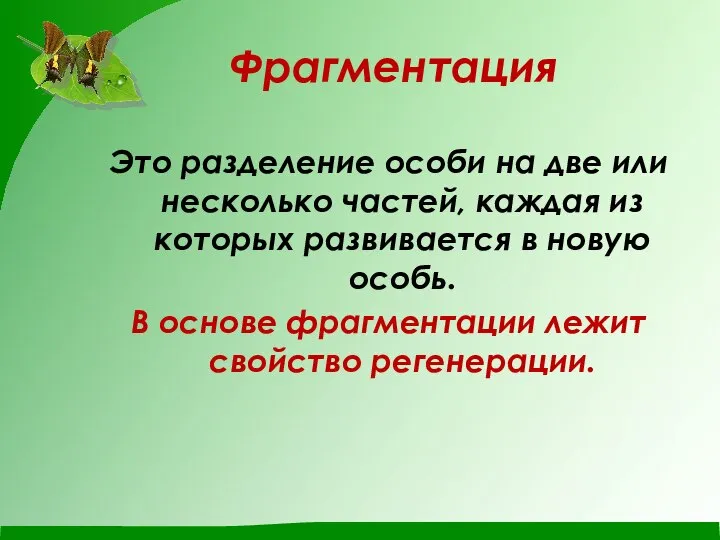 Фрагментация Это разделение особи на две или несколько частей, каждая из которых