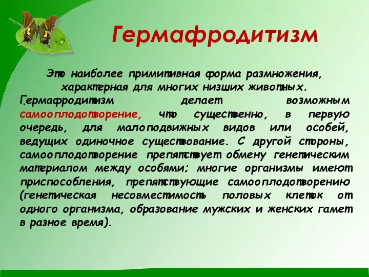 Гермафродитизм . Это наиболее примитивная форма размножения, характерная для многих низших животных.