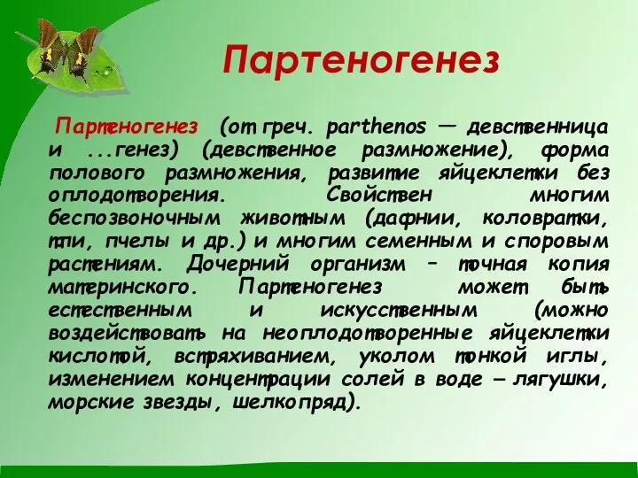 Партеногенез Партеногенез (от греч. parthenos — девственница и ...генез) (девственное размножение), форма